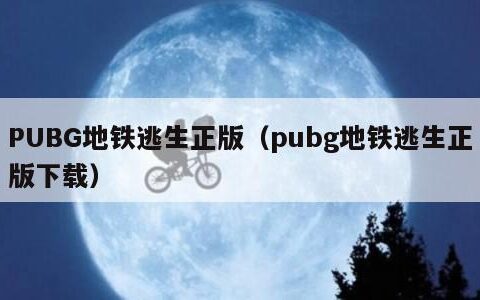 PUBG地铁逃生正版（pubg地铁逃生正版下载）