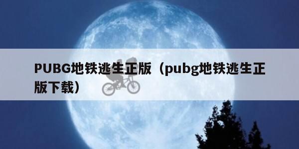 PUBG地铁逃生正版（pubg地铁逃生正版下载）