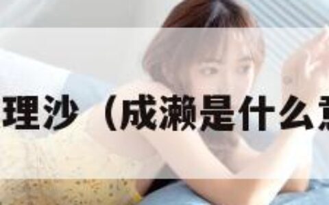 成濑理沙（成濑是什么意思）