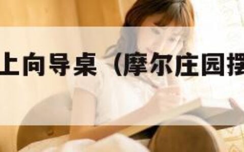 摩尔庄园摆上向导桌（摩尔庄园摆上向导桌宣传）