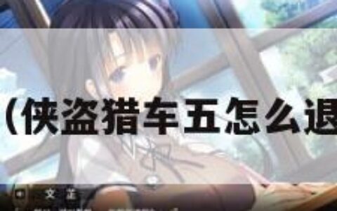 侠盗猎车五（侠盗猎车五怎么退出故事模式）