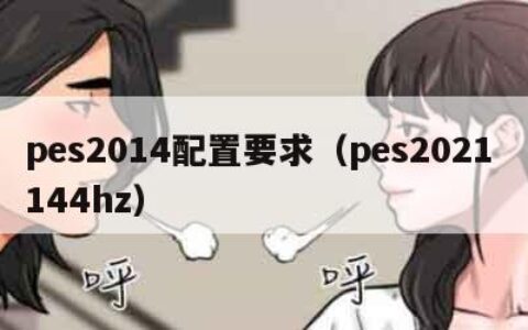 pes2014配置要求（pes2021 144hz）