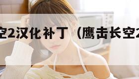 鹰击长空2汉化补丁（鹰击长空2免uplay）