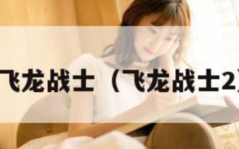 飞龙战士（飞龙战士2）