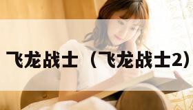 飞龙战士（飞龙战士2）