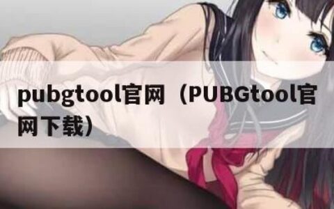 pubgtool官网（PUBGtool官网下载）