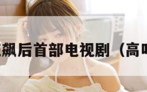 高叶狂飙后首部电视剧（高叶新剧）