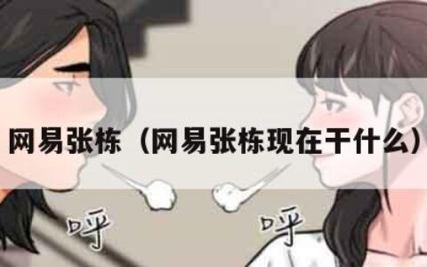 网易张栋（网易张栋现在干什么）