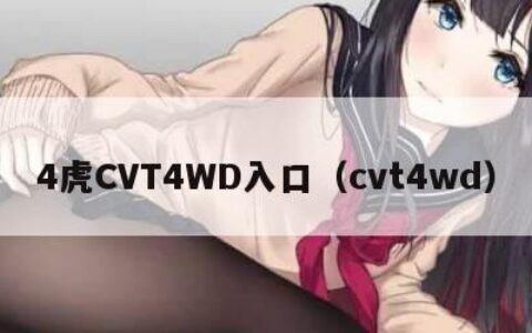 4虎CVT4WD入口（cvt4wd）
