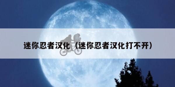 迷你忍者汉化（迷你忍者汉化打不开）