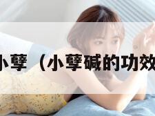 小孽（小孽碱的功效）