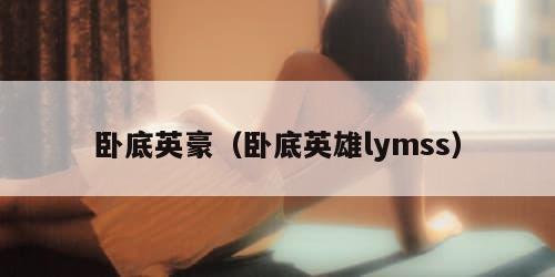 卧底英豪（卧底英雄lymss）
