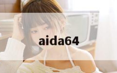 aida64