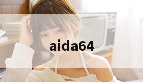 aida64