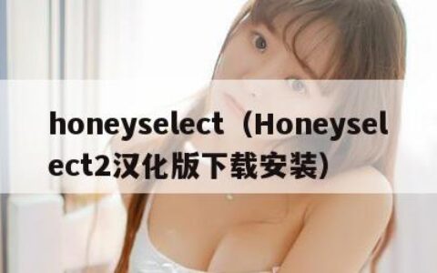honeyselect（Honeyselect2汉化版下载安装）