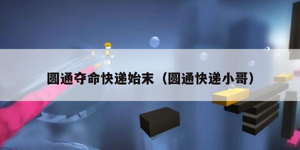 圆通夺命快递始末（圆通快递小哥）