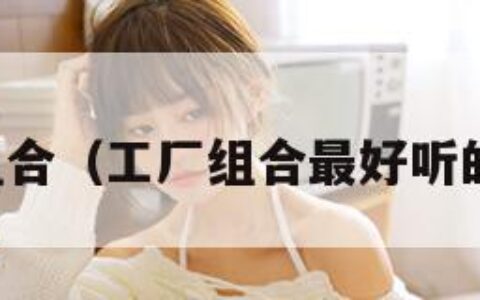 工厂组合（工厂组合最好听的一首）