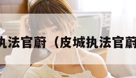 皮城执法官蔚（皮城执法官蔚外号）