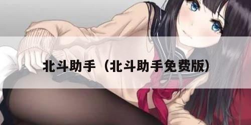 北斗助手（北斗助手免费版）