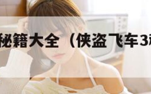 侠盗飞车3秘籍大全（侠盗飞车3秘籍大全代码）