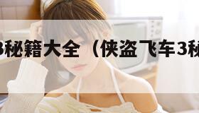 侠盗飞车3秘籍大全（侠盗飞车3秘籍大全代码）