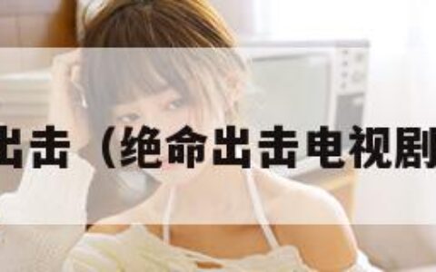 绝命出击（绝命出击电视剧全集）