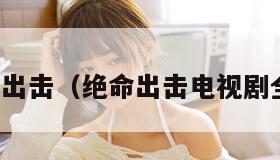 绝命出击（绝命出击电视剧全集）