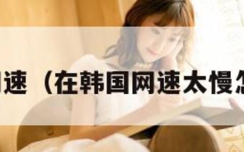 韩国网速（在韩国网速太慢怎么办）