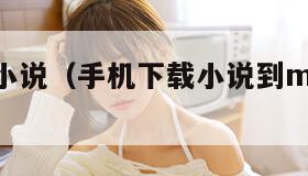 手机下载小说（手机下载小说到mp4的教程）