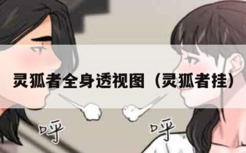 灵狐者全身透视图（灵狐者挂）