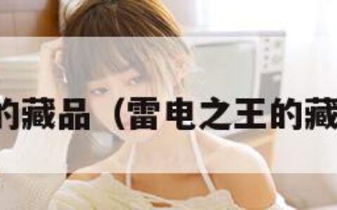 雷电之王的藏品（雷电之王的藏品有哪些）