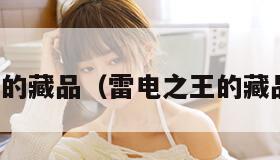 雷电之王的藏品（雷电之王的藏品有哪些）