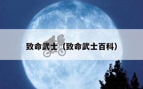 致命武士（致命武士百科）