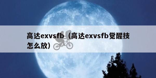 高达exvsfb（高达exvsfb觉醒技怎么放）