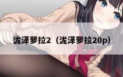 泷泽萝拉2（泷泽萝拉20p）
