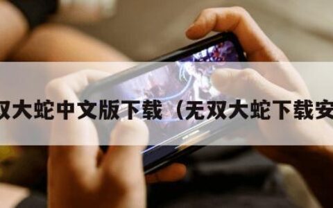 无双大蛇中文版下载（无双大蛇下载安装）