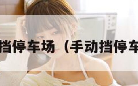 手动挡停车场（手动挡停车场1）