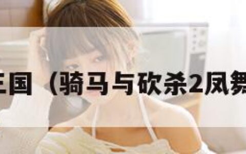 凤舞三国（骑马与砍杀2凤舞三国）