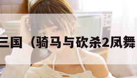 凤舞三国（骑马与砍杀2凤舞三国）