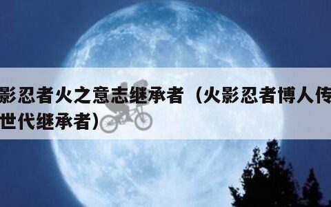 火影忍者火之意志继承者（火影忍者博人传之次世代继承者）