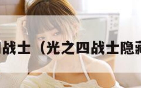 光之四战士（光之四战士隐藏职业）