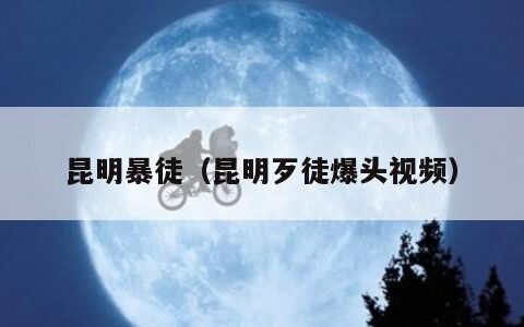 昆明暴徒（昆明歹徒爆头视频）