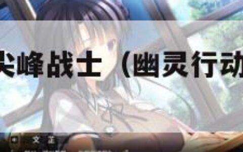 幽灵行动3尖峰战士（幽灵行动3尖峰战士 简体中文）