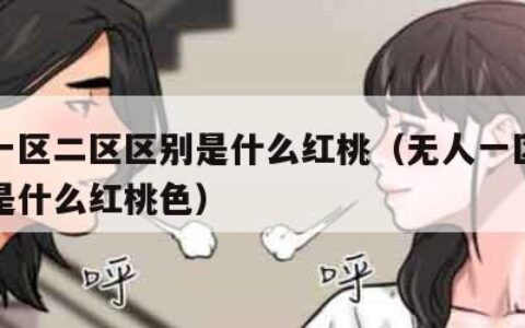 无人一区二区区别是什么红桃（无人一区二区区别是什么红桃色）