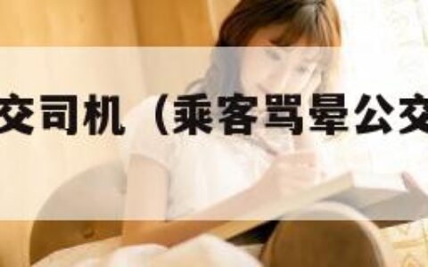 乘客骂晕公交司机（乘客骂晕公交司机怎么办）