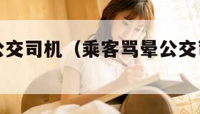 乘客骂晕公交司机（乘客骂晕公交司机怎么办）