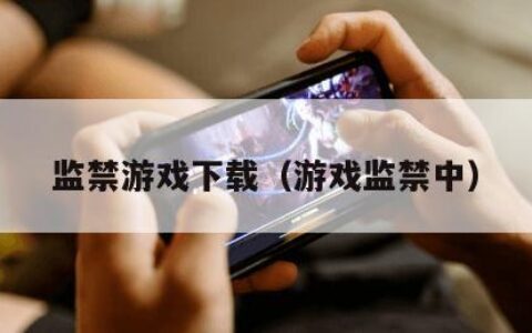 监禁游戏下载（游戏监禁中）