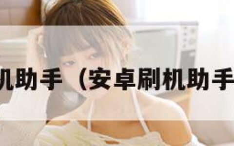 安卓刷机助手（安卓刷机助手手机版）