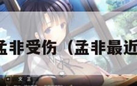 孟非受伤（孟非最近）