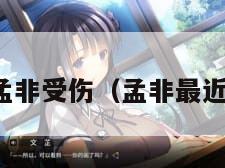 孟非受伤（孟非最近）